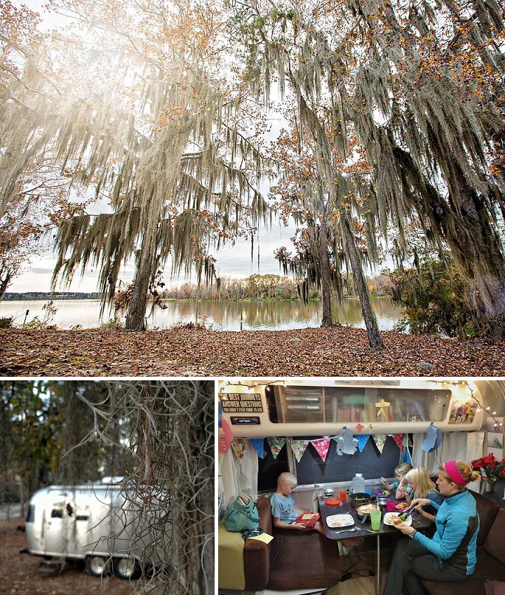 12277659_186853178329115_302179214_n