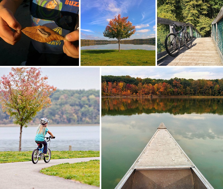 12070924_1505363946449762_670428752_n