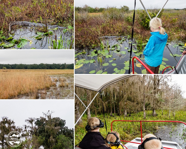 Spirit of the Swamp AIrboat_27