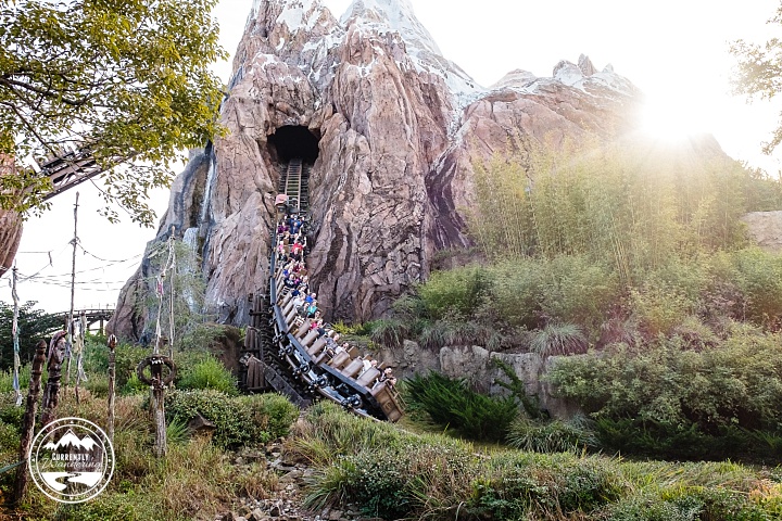 Disney Animal Kingdom_05