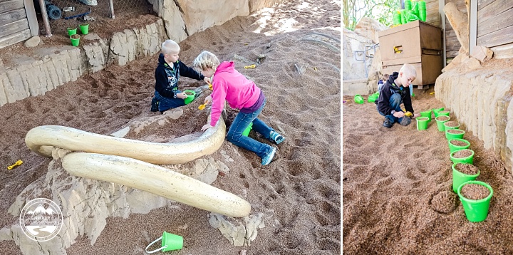 Disney Animal Kingdom_10