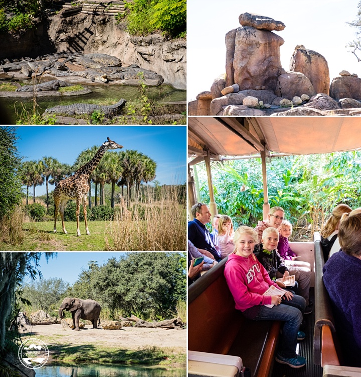 Disney Animal Kingdom_19