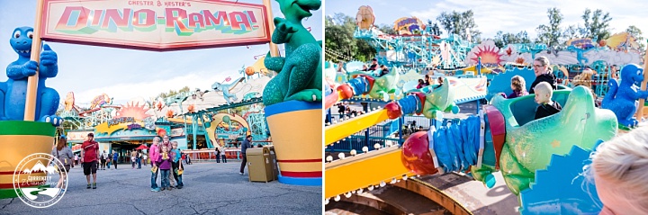 Disney Animal Kingdom_34