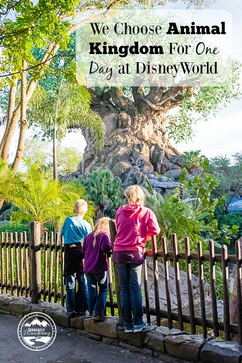 One Day Visit to Walt Disney World's Animal Kingdom