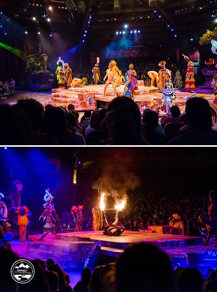 Disney Animal Kingdom_29