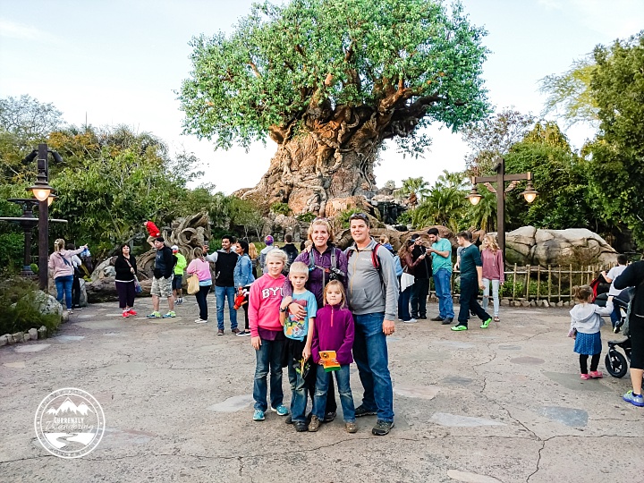 Disney Animal Kingdom_35-1