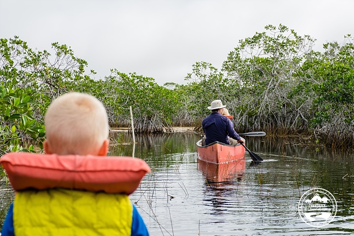 Canoeing in the Everglades