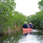 Canoeing Nine Mile Pond in Everglades National Park