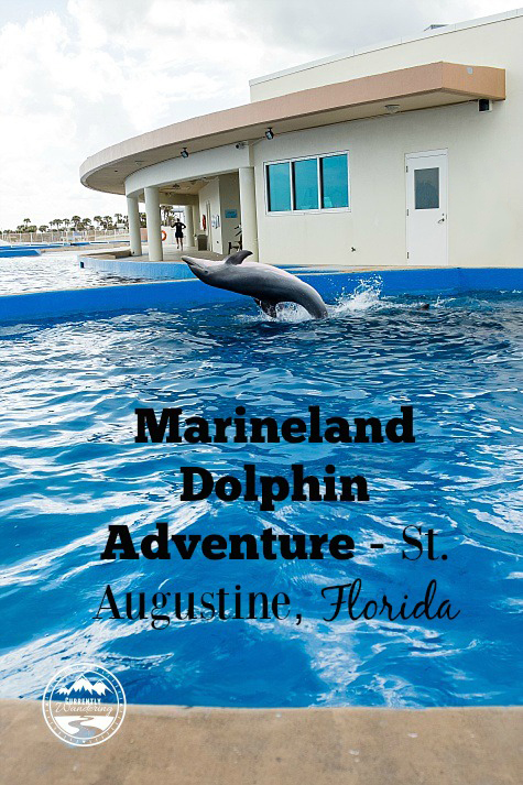 Our Dolphin Encounter at Marineland in St Augustine Florida