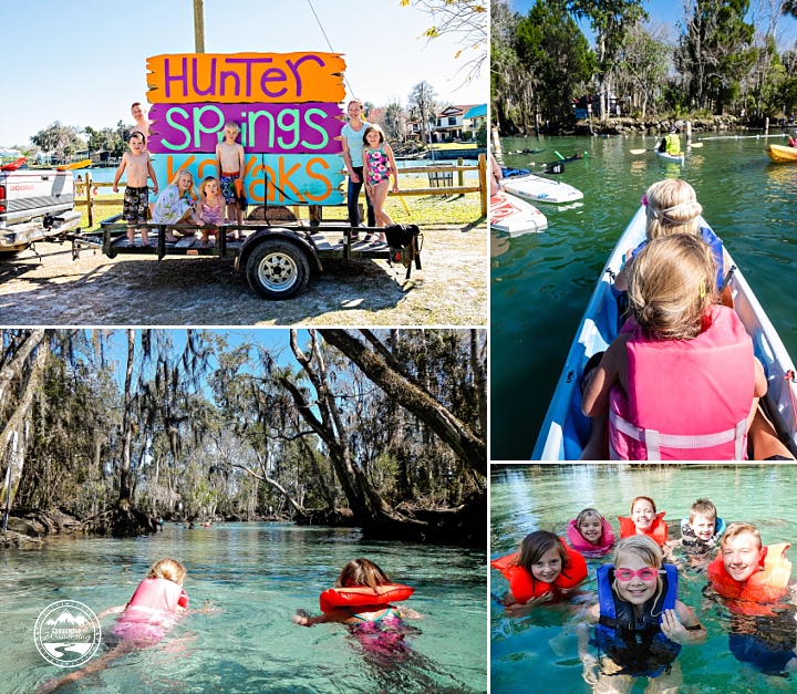 Swimming with Manatees 01