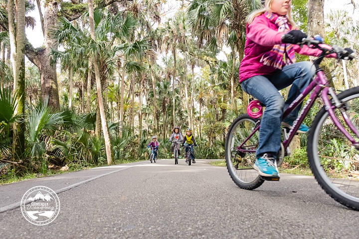 Highlands Hammock SP_05