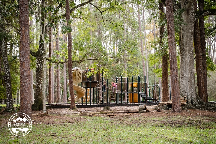 Highlands Hammock SP_17