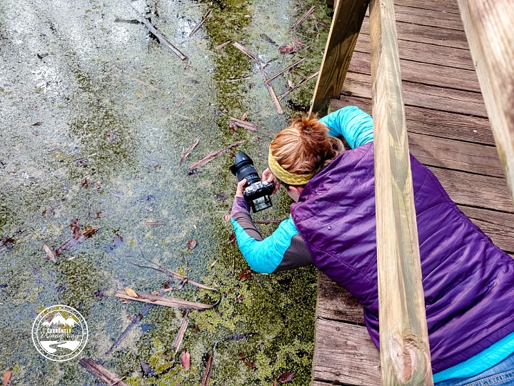 IMG_20160119_163158099_HDR