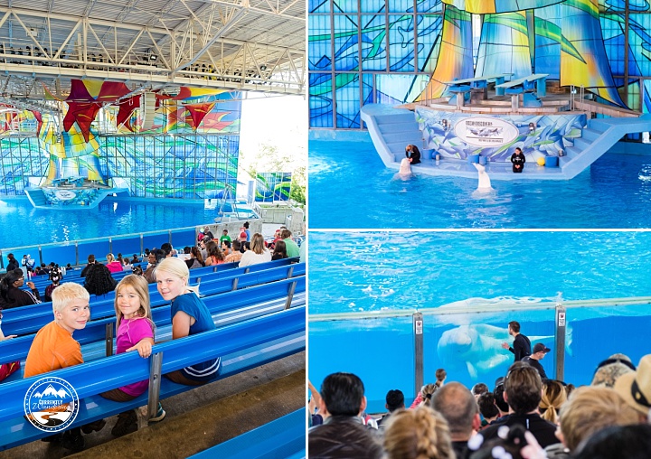 Sea World San Antonio_03