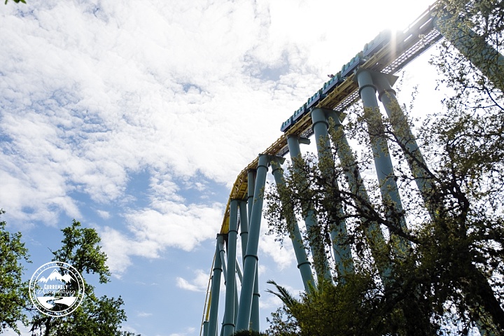 Sea World San Antonio_13