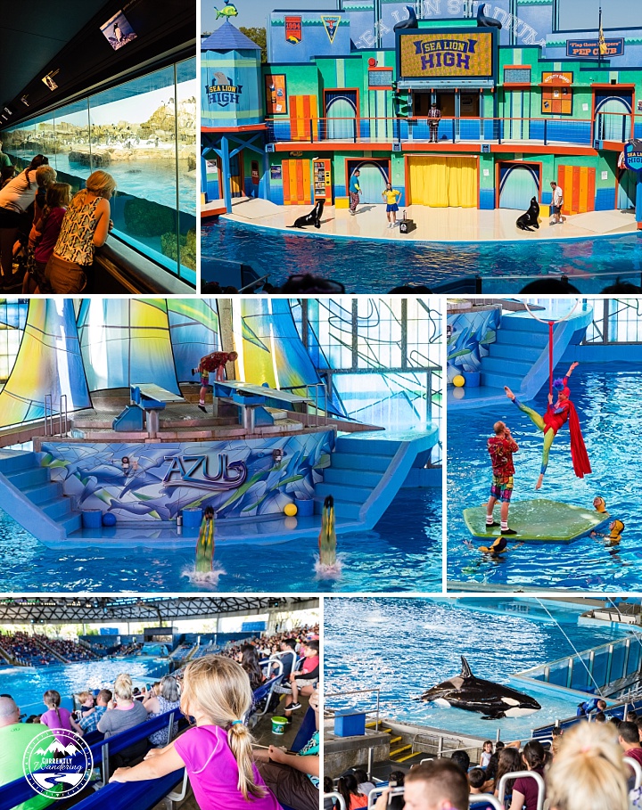 Sea World San Antonio_15