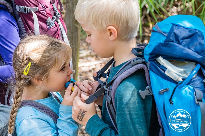 Cumberland Island NS_20