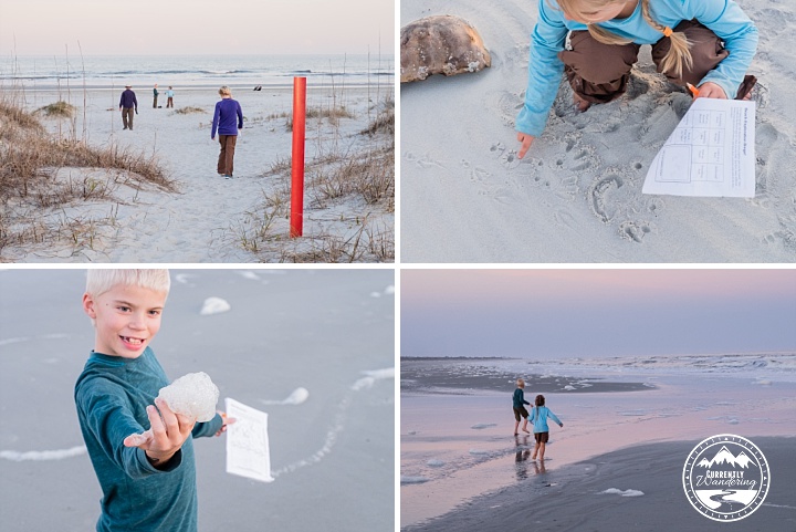 Cumberland Island NS_27