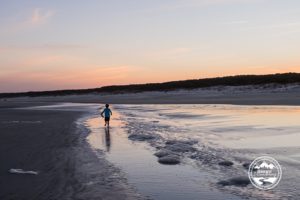 Cumberland Island NS_31
