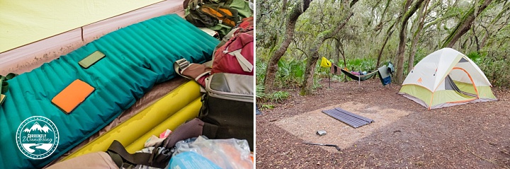 Cumberland Island NS_33