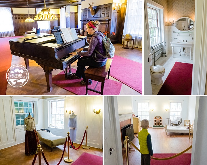 Cumberland Island NS_46