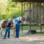 Detour for a Service Project & Some Horses
