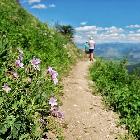 13551647_1068723799871463_1548890971_n