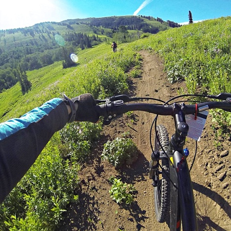 13573608_1184789098251900_1268573821_n