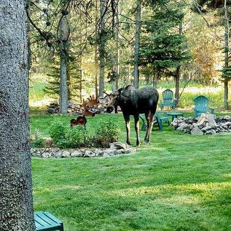 13712583_1779596915619457_1394167137_n