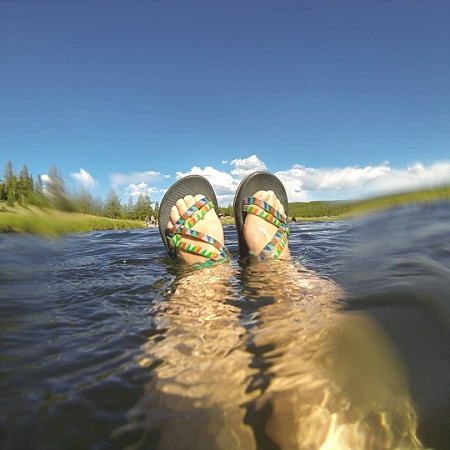 13714148_1676418066017009_1393510291_n