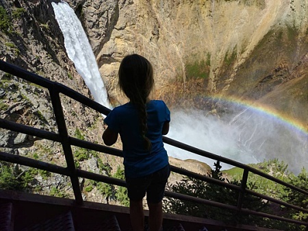 13743410_305939413129867_845521301_n