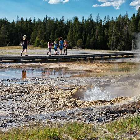 13774790_1104824406231001_306064582_n