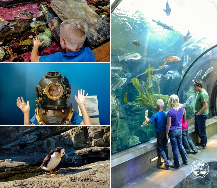 img_20160824_172047581-01