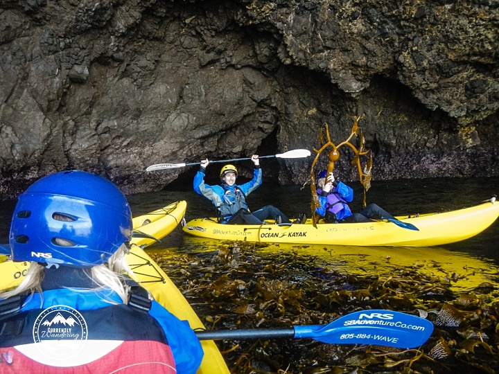 channel-islands-2016_36