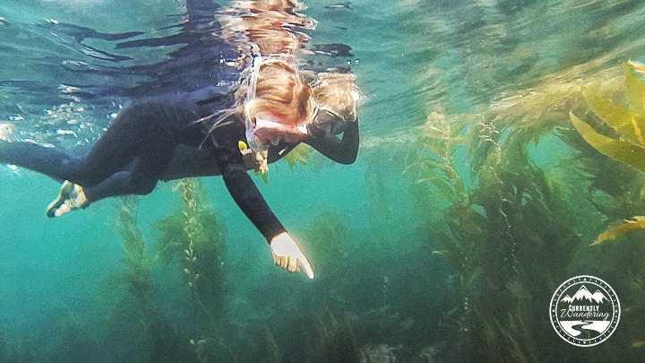 channel-islands-2016_68