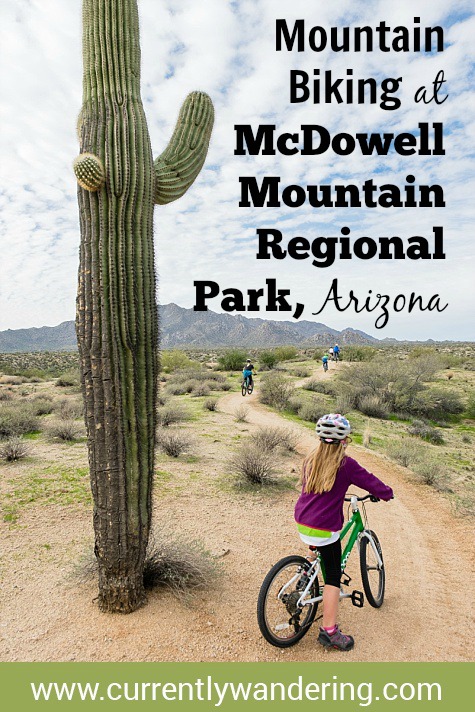 Mcdowell mountain bike trails online