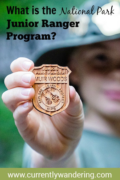 National Park Service Badges