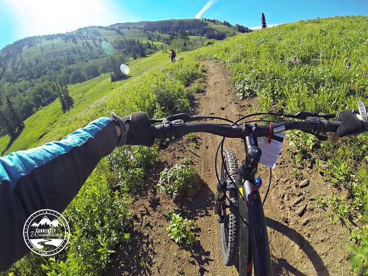 grand targhee mountain biking